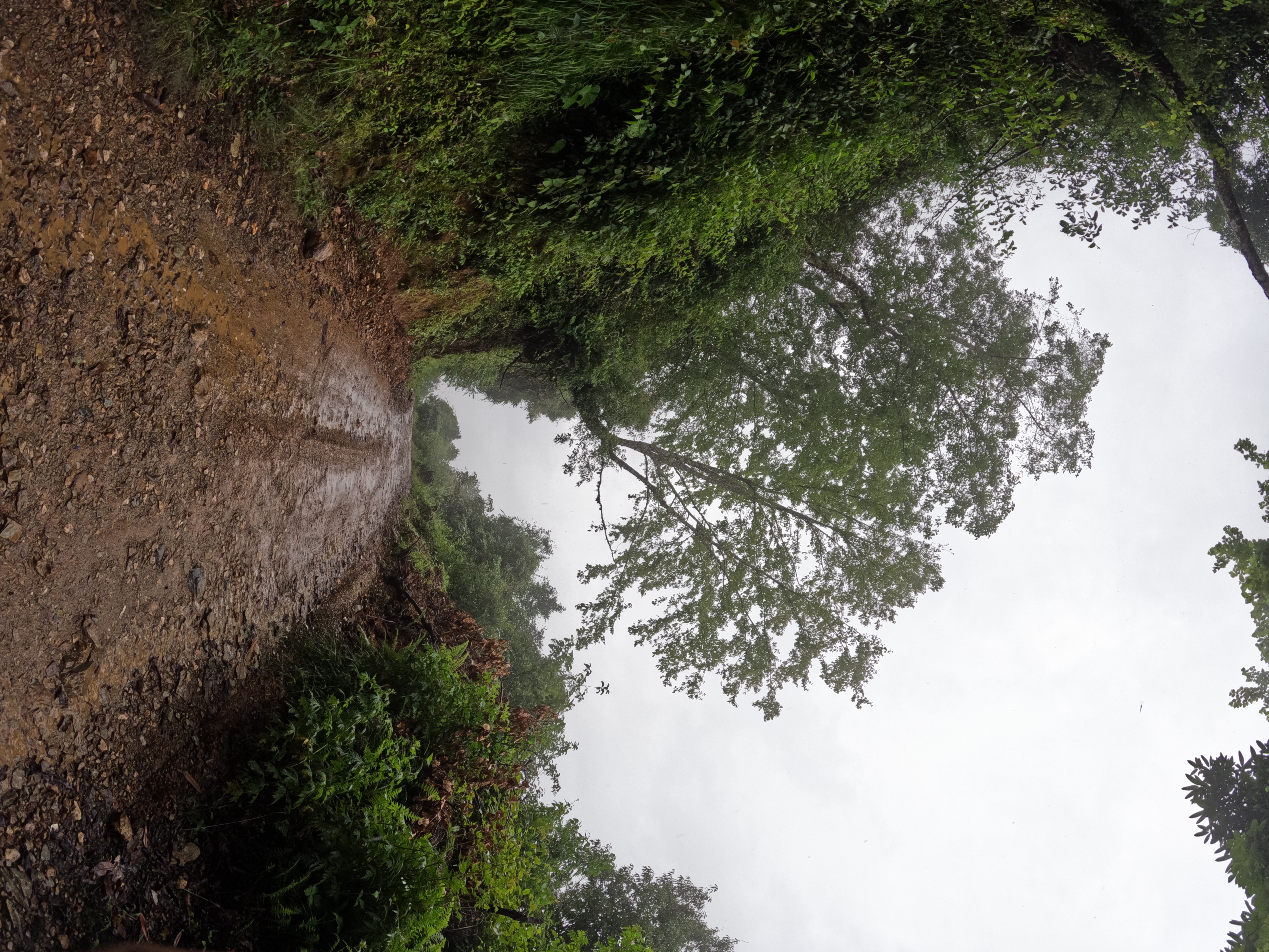 025, Monsoon