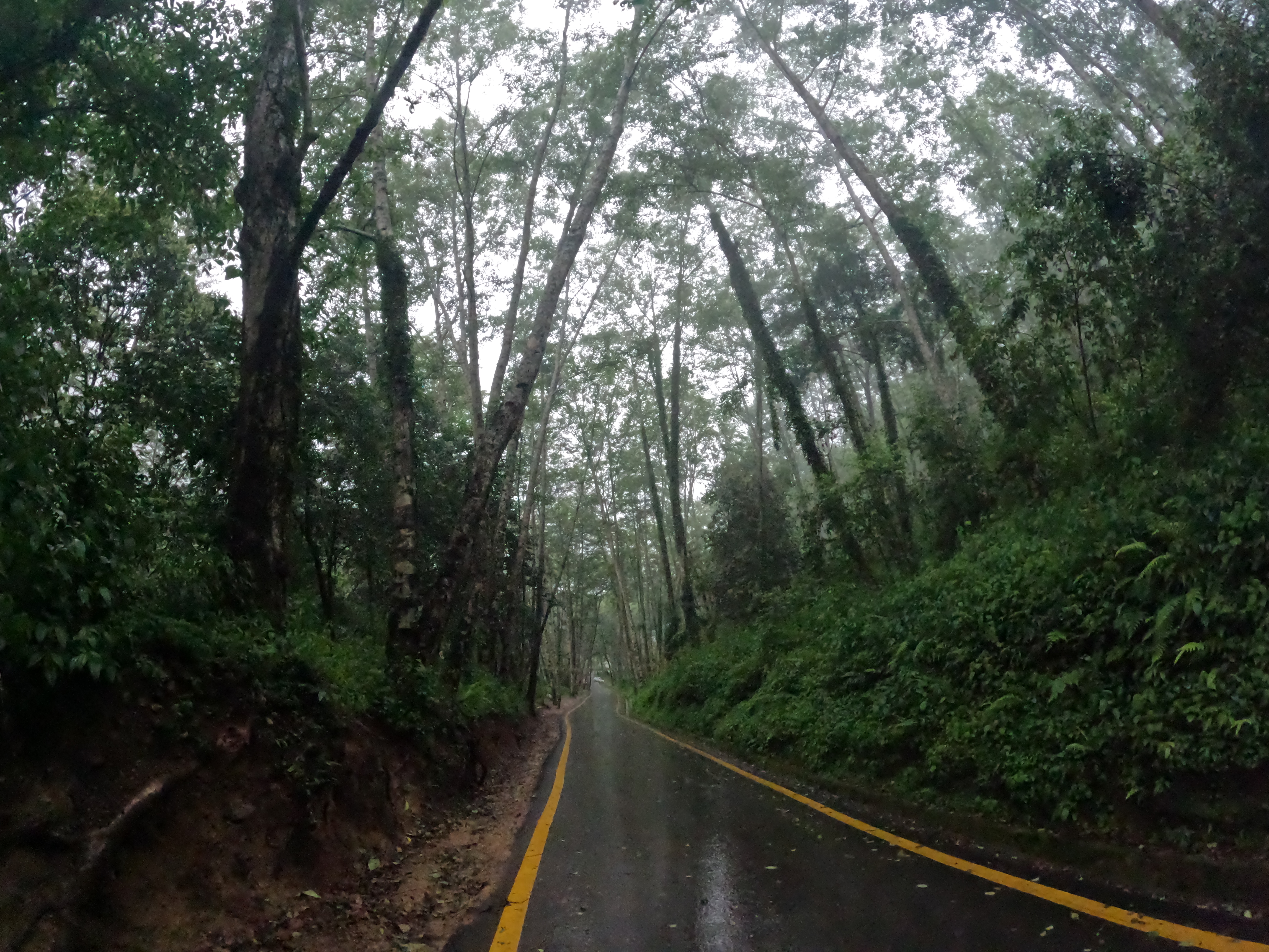 Monsoon 025